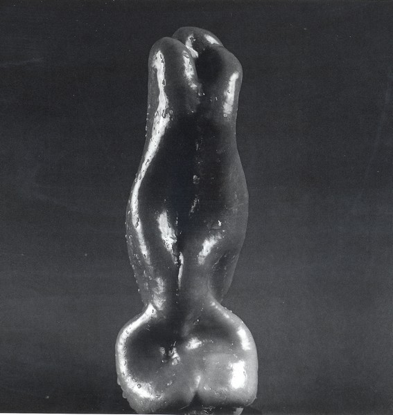 Cliquez pour agrandir l'image