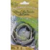Fiche dtaille : Graines Chou Cabus Bacalan de Rennes - 3 g