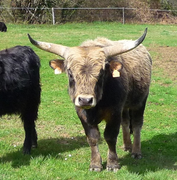 Cliquez pour agrandir l'image