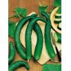 Fiche dtaille : Graines Concombre long de Chine Bio 25 graines