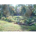 A visiter : le Jardin de PIERRAL  Gradignan