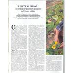 De l'Ortie au Ptisson