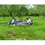 Cliquez pour agrandir