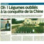 Cliquez pour agrandir