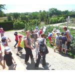 Cliquez pour agrandir