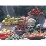 Cliquez pour agrandir